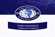 WFNS Global Neurosurgical Curriculum Logo