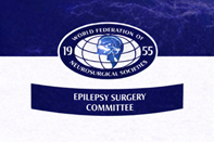 WFNS Epilepsy Surgery Committee Logo