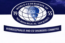 WFNS Hydrocephalus and CSF Disorders Committee Logo