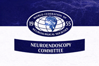WFNS Neuroendoscopy Committee Logo