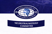WFNS Neurotraumatology Committee Logo