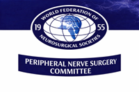 WFNS Peripheral Nerve Surgery Committee Logo