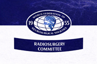 WFNS Radiosurgery Committee Logo