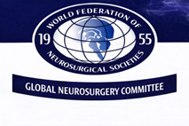 WFNS Global Committee Logo