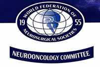 WFNS Neuro-oncology Committee Logo